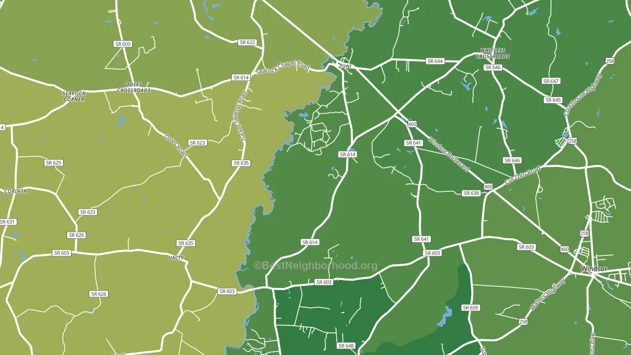 23898, VA block-group voter-turnout map