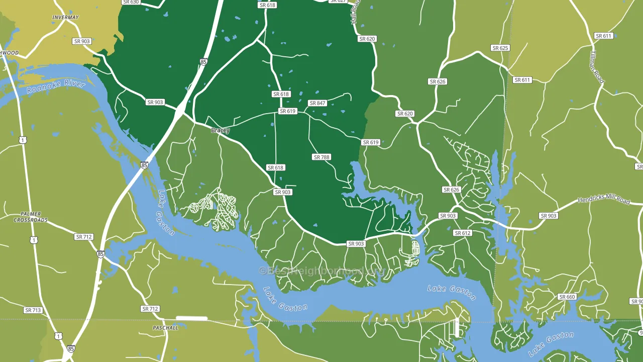 23919, VA block-group voter-turnout map