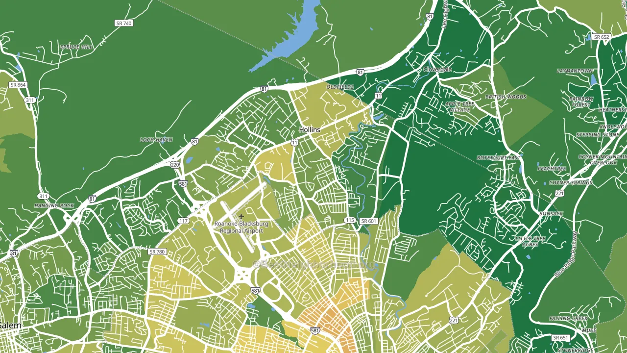 24019, VA block-group voter-turnout map