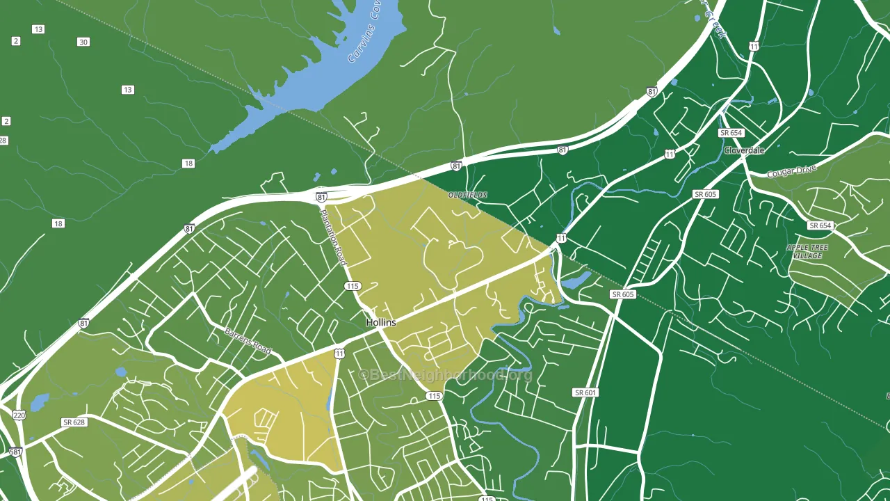 24020, VA block-group voter-turnout map