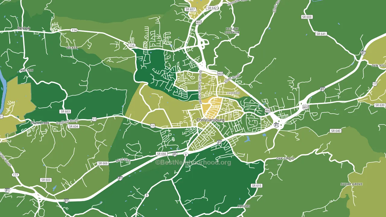24073, VA block-group voter-turnout map