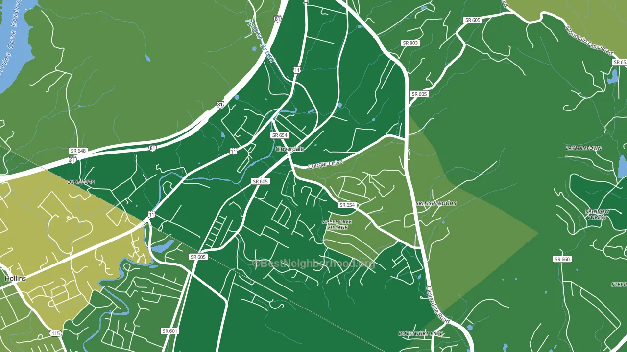 24077, VA block-group voter-turnout map