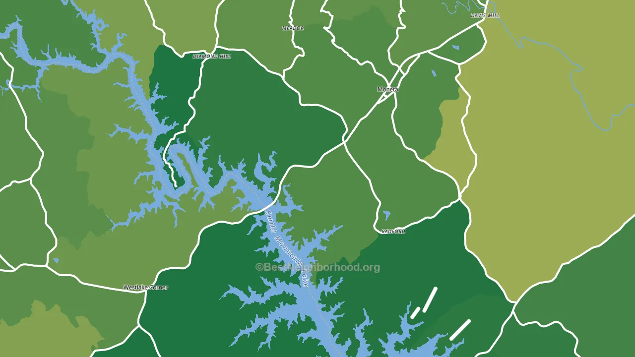 24121, VA block-group voter-turnout map