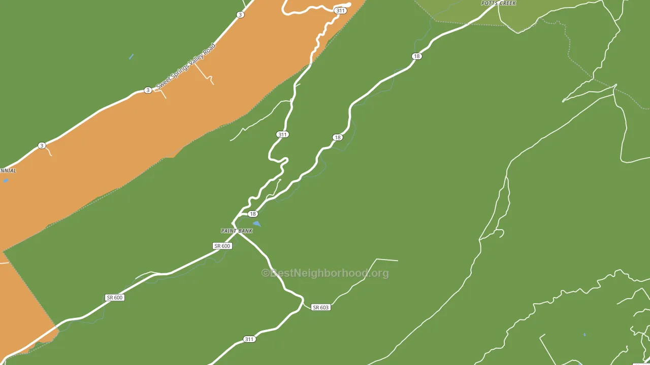 24131, VA block-group voter-turnout map