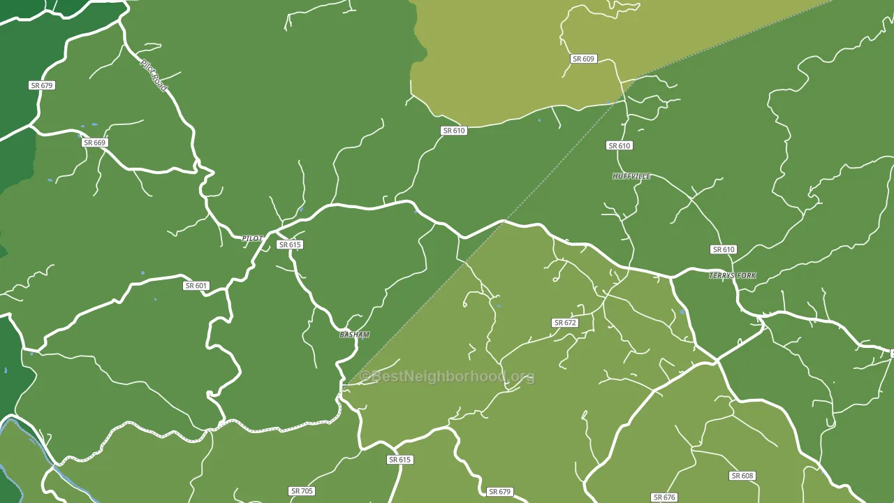 24138, VA block-group voter-turnout map