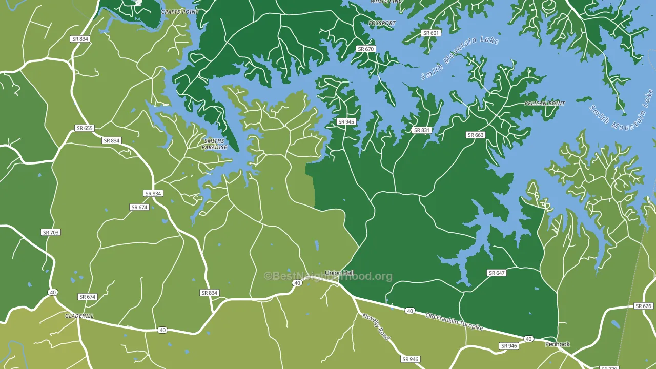 24176, VA block-group voter-turnout map