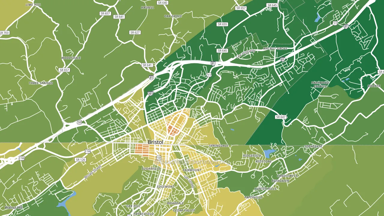 24201, VA block-group voter-turnout map