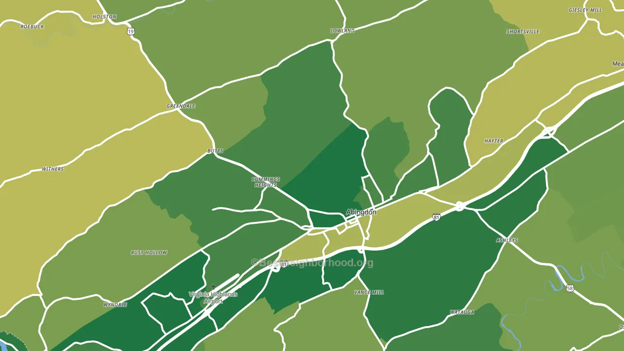 24210, VA block-group voter-turnout map