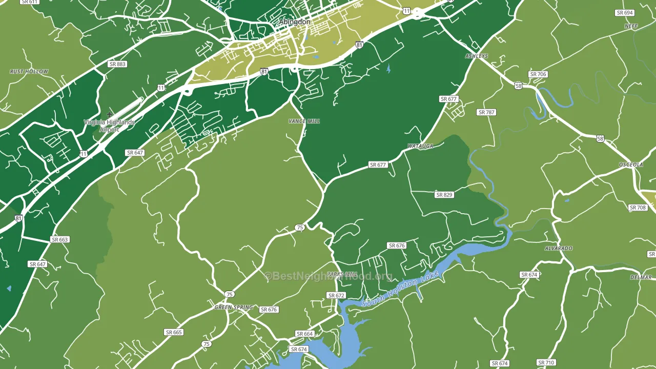 24211, VA block-group voter-turnout map