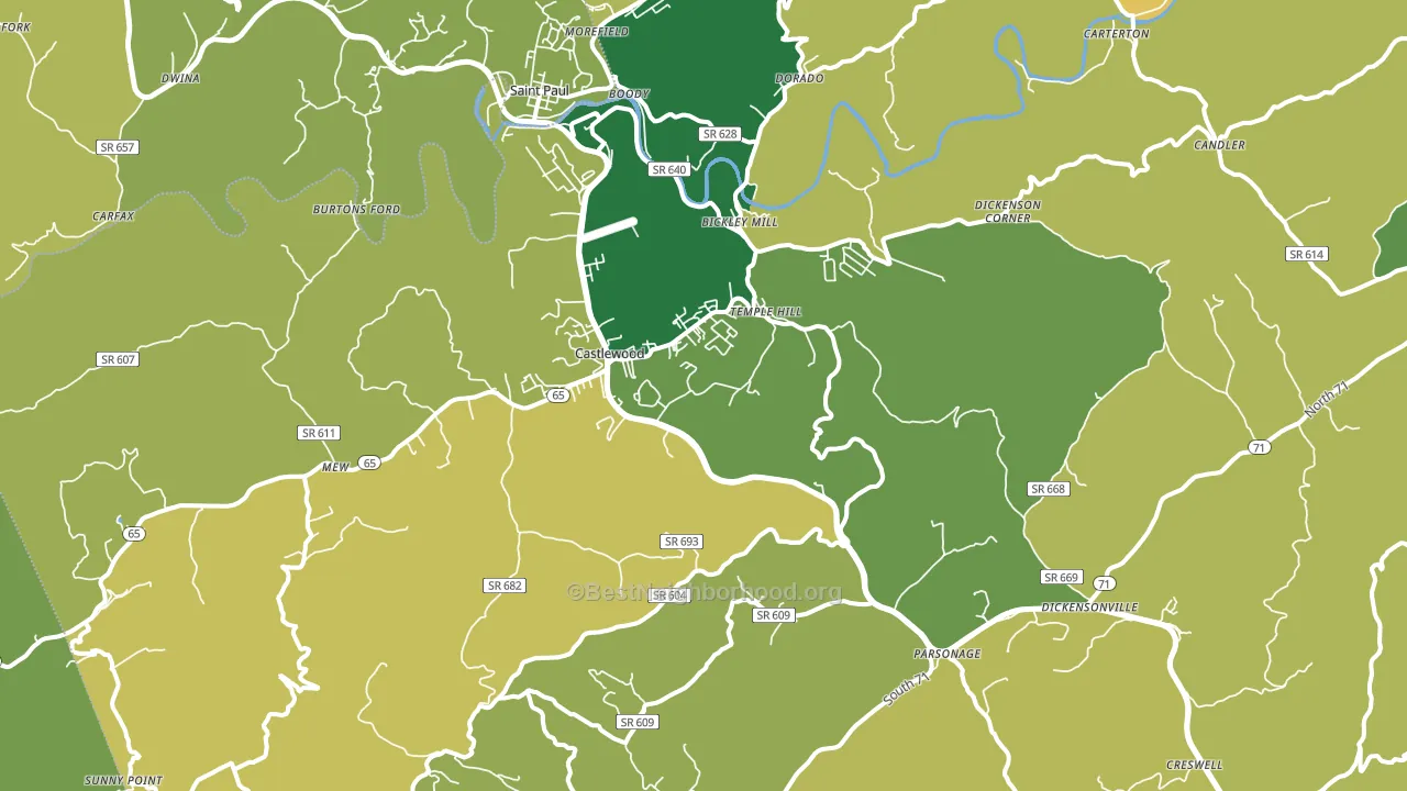 24224, VA block-group voter-turnout map