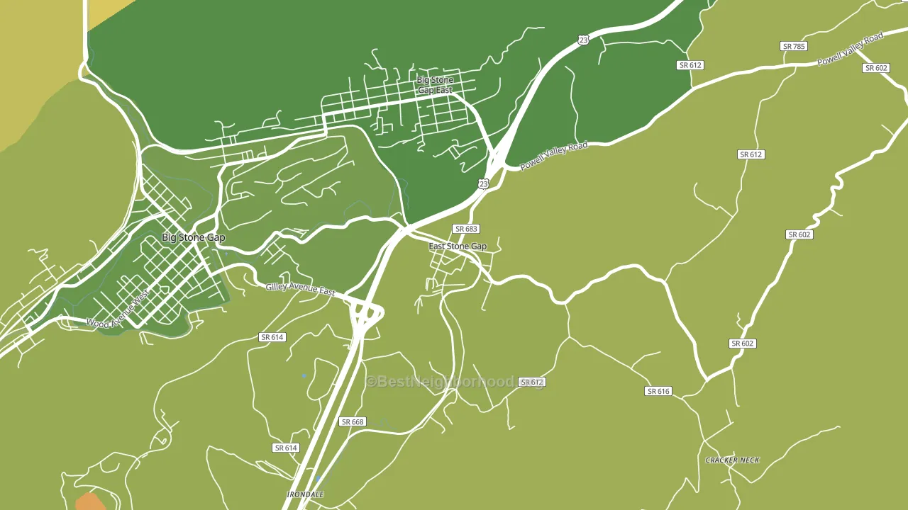 24246, VA block-group voter-turnout map