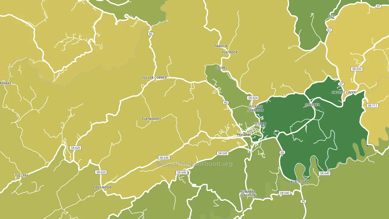 24260, VA block-group voter-turnout map