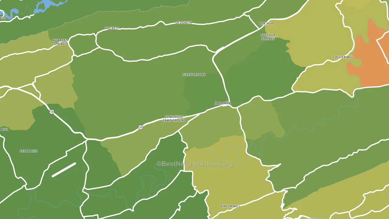 24263, VA block-group voter-turnout map