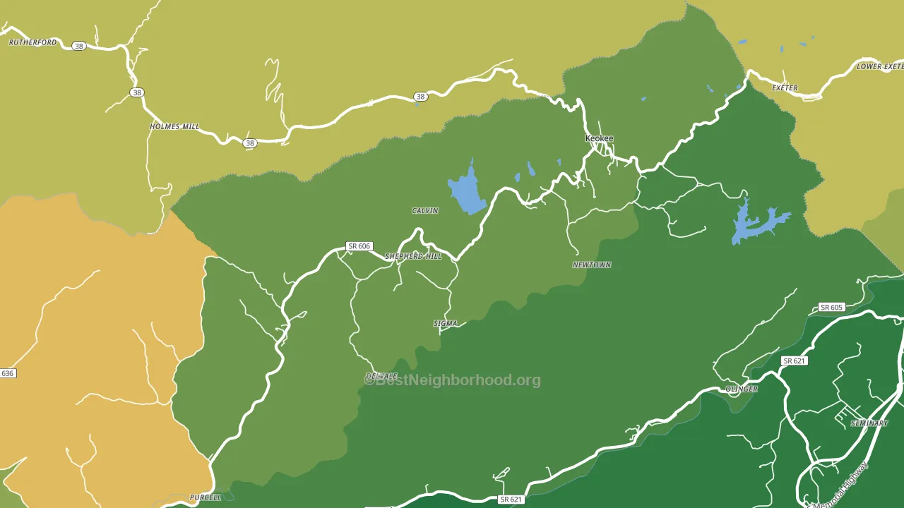 24265, VA block-group voter-turnout map