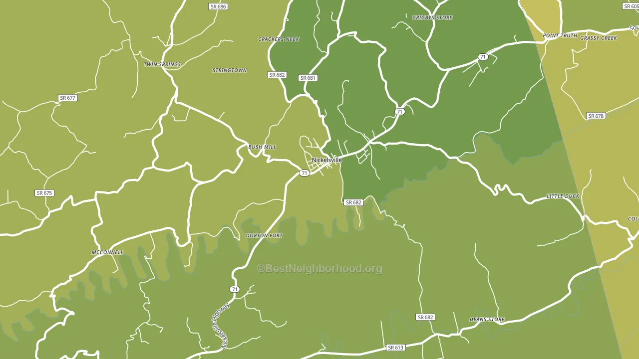 24271, VA block-group voter-turnout map