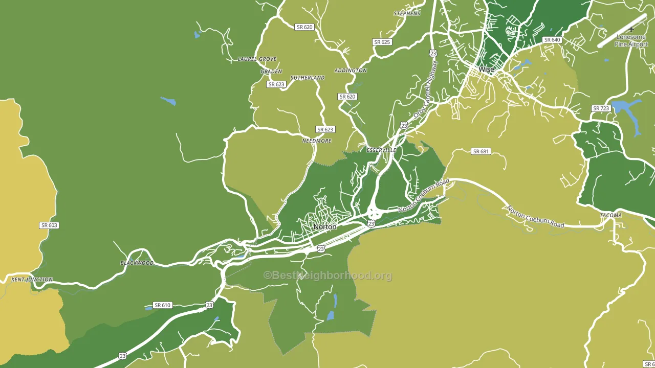 24273, VA block-group voter-turnout map
