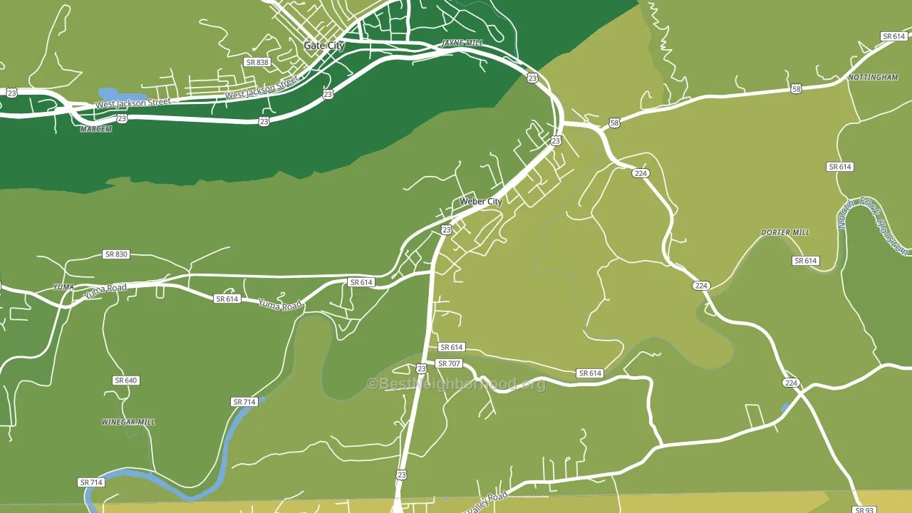 24290, VA block-group voter-turnout map