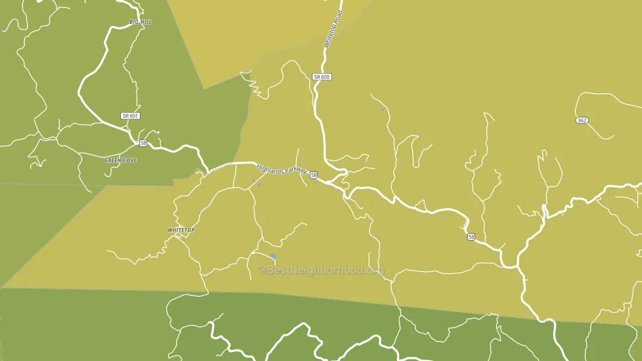 24292, VA block-group voter-turnout map
