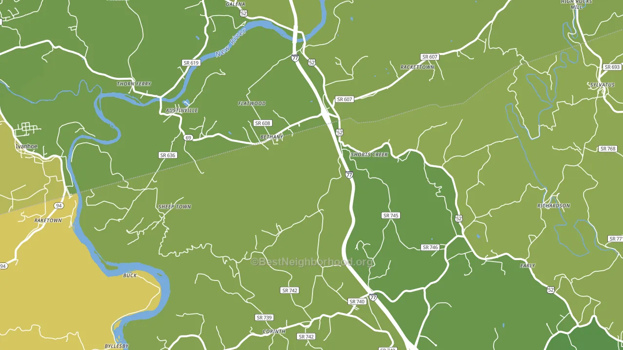24312, VA block-group voter-turnout map