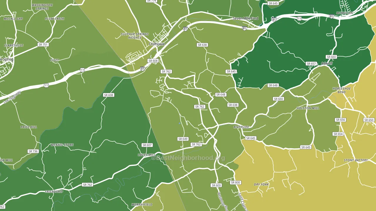 24319, VA block-group voter-turnout map