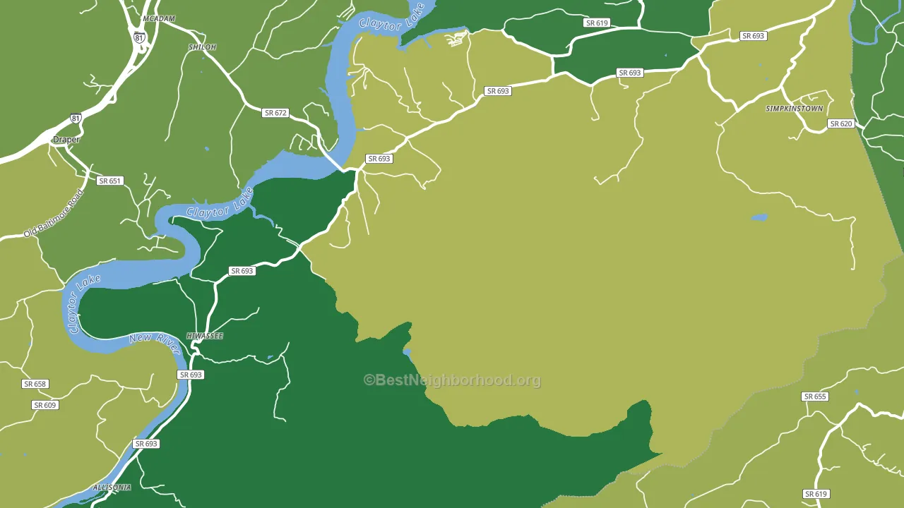 24347, VA block-group voter-turnout map