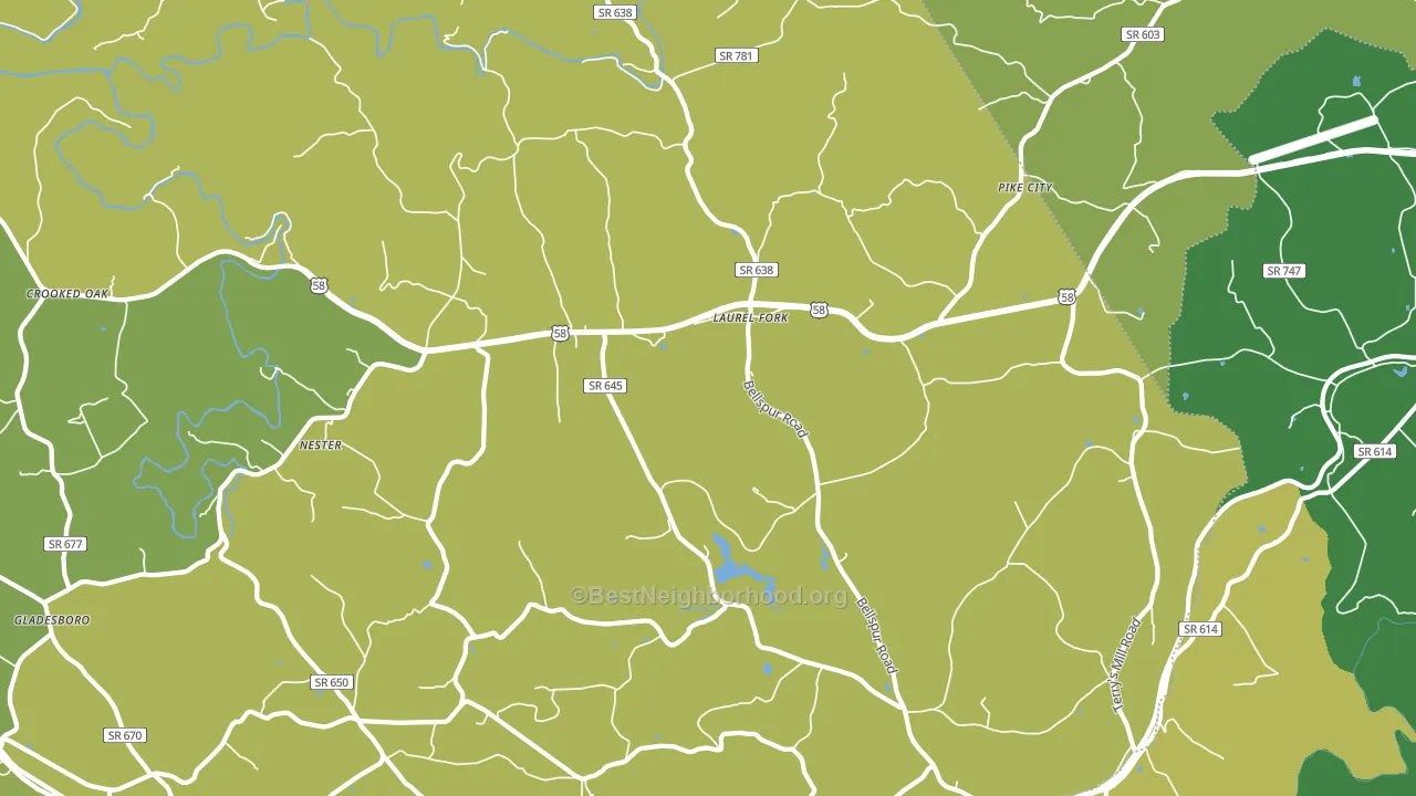 24352, VA block-group voter-turnout map