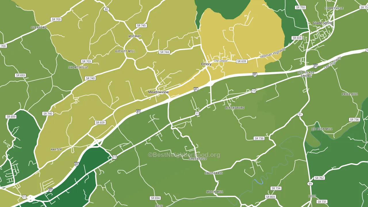 24361, VA block-group voter-turnout map