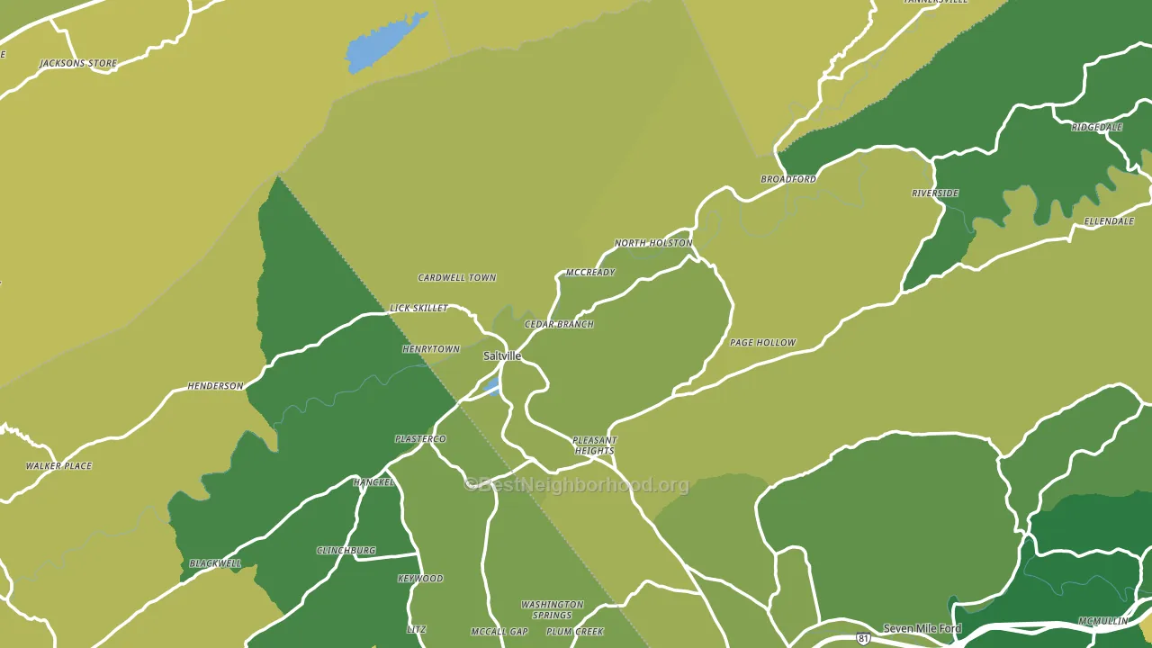 24370, VA block-group voter-turnout map