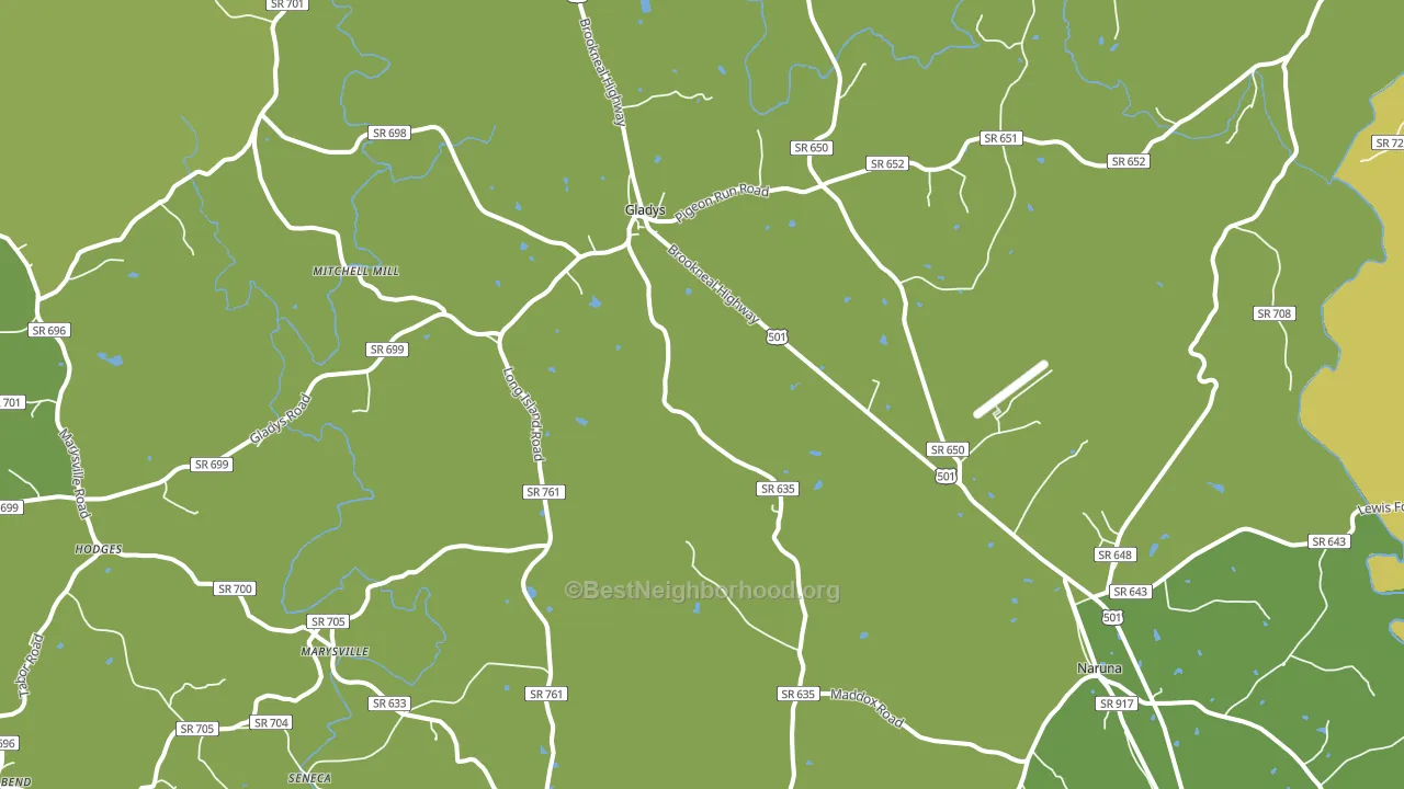 24554, VA block-group voter-turnout map