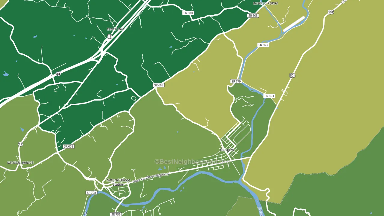 24555, VA block-group voter-turnout map