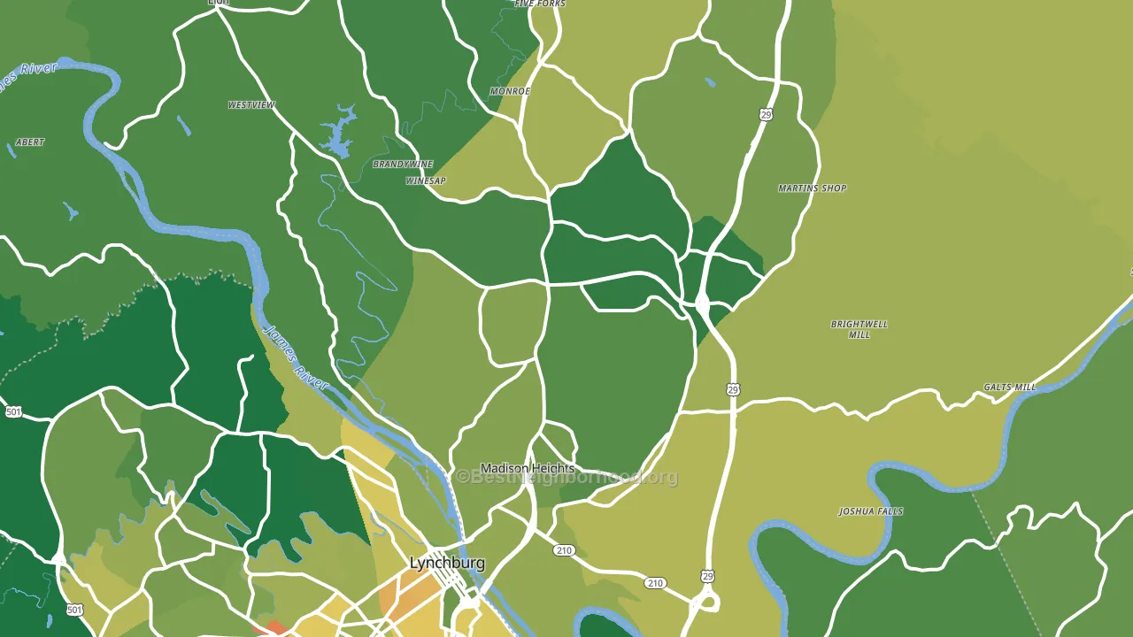 24572, VA block-group voter-turnout map