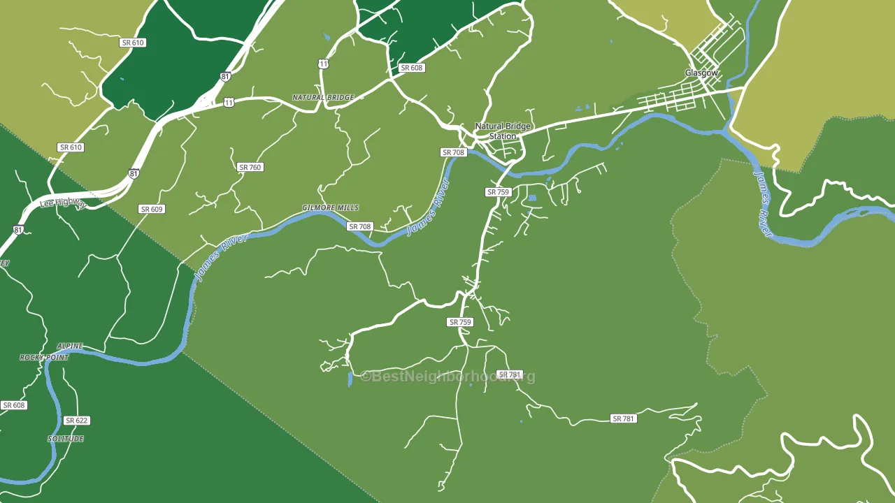 24579, VA block-group voter-turnout map