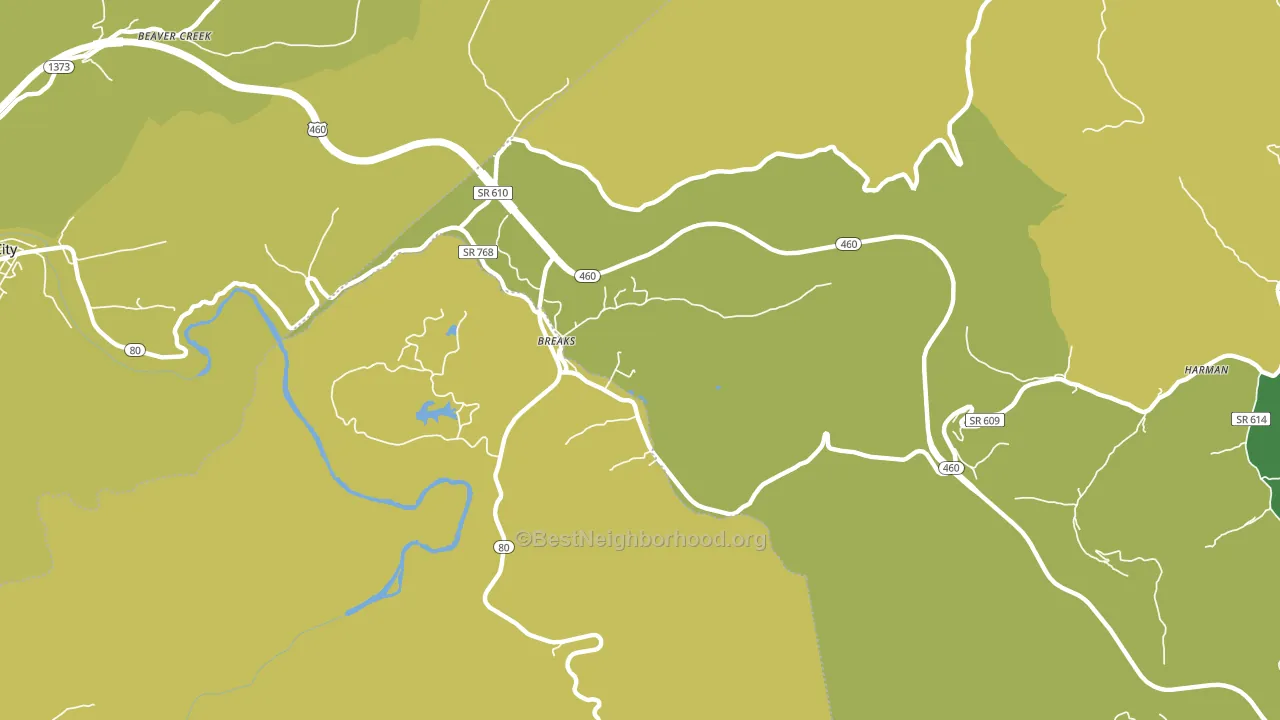 24607, VA block-group voter-turnout map