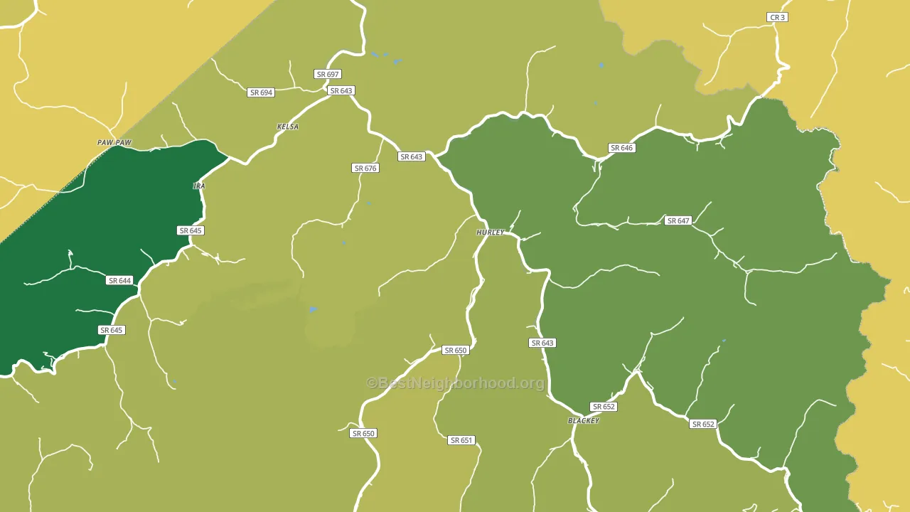 24620, VA block-group voter-turnout map