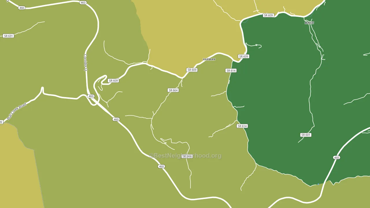 24628, VA block-group voter-turnout map