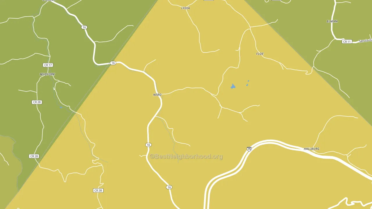 25141, WV block-group voter-turnout map