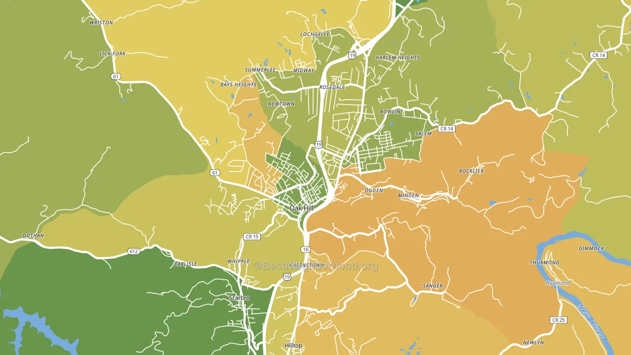 25901, WV block-group voter-turnout map