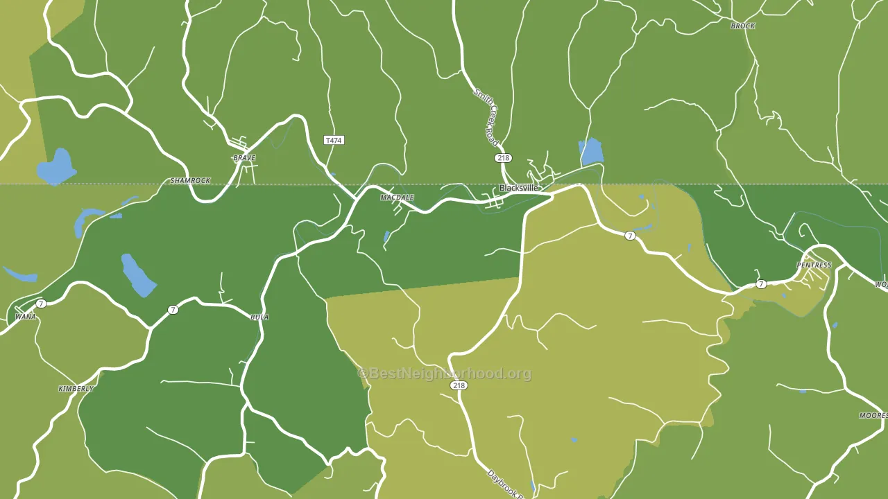 26521, WV block-group voter-turnout map