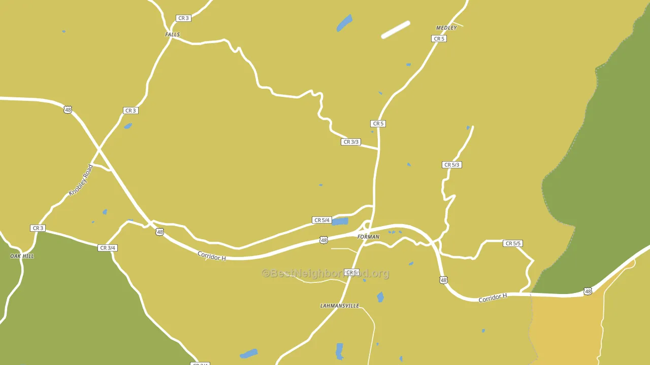 26731, WV block-group voter-turnout map