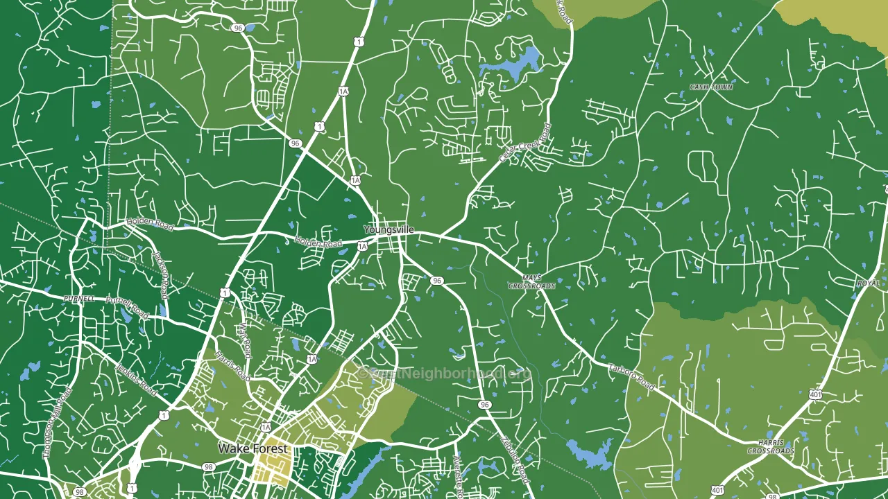 27596, NC block-group voter-turnout map