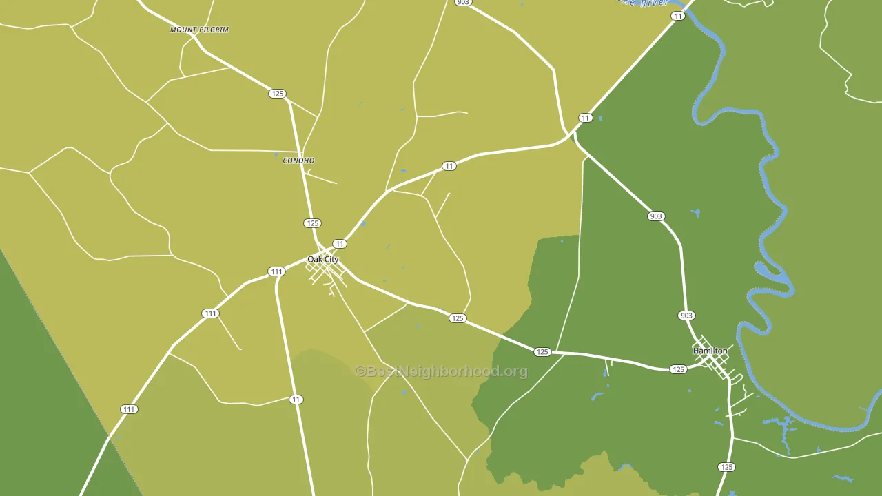 27857, NC block-group voter-turnout map