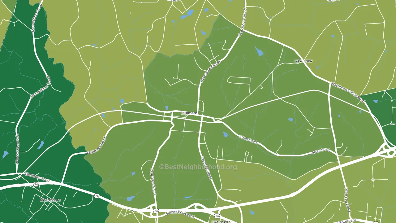 28089, NC block-group voter-turnout map