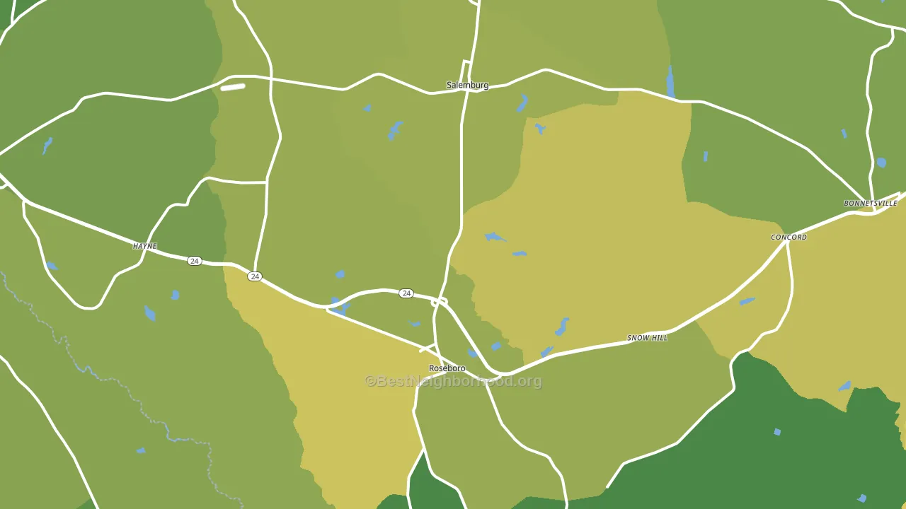 28382, NC block-group voter-turnout map