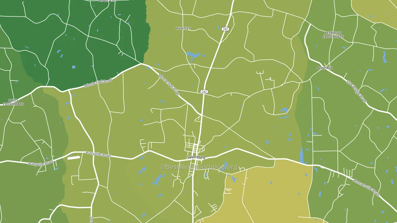28385, NC block-group voter-turnout map