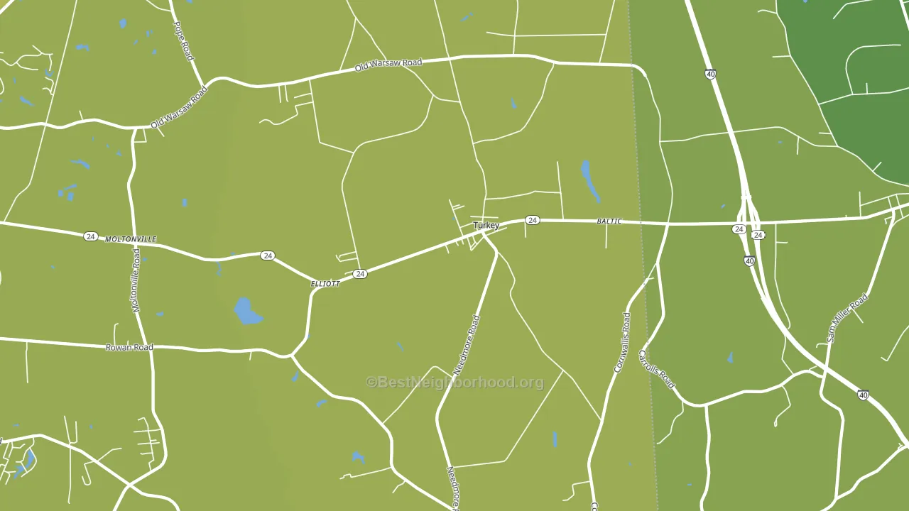 28393, NC block-group voter-turnout map