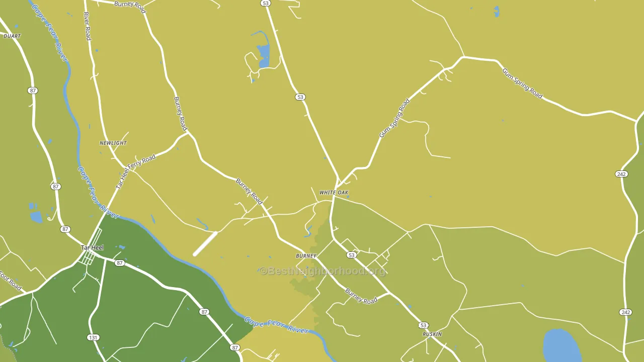 28399, NC block-group voter-turnout map
