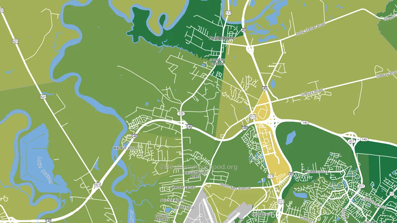 28429, NC block-group voter-turnout map