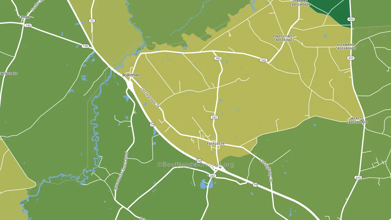 28438, NC block-group voter-turnout map