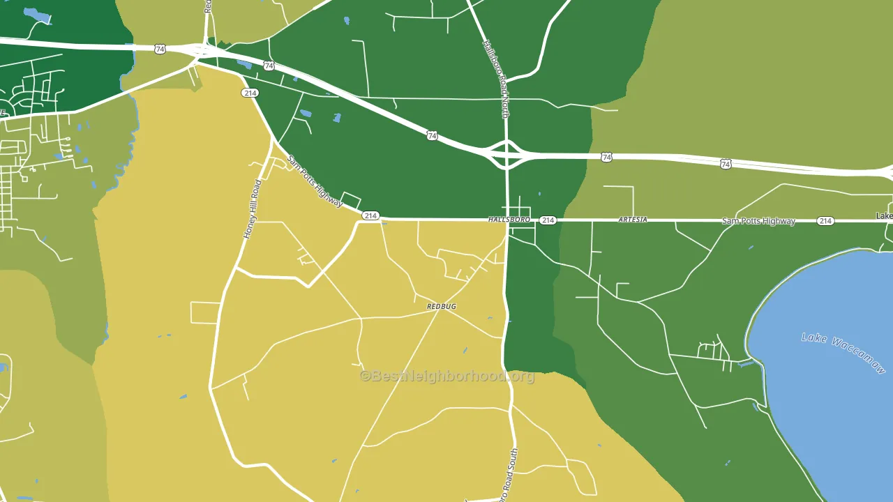 28442, NC block-group voter-turnout map