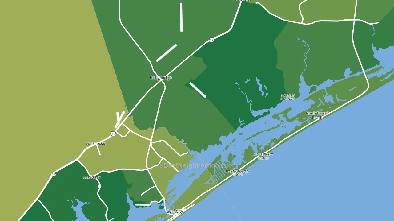 28445, NC block-group voter-turnout map